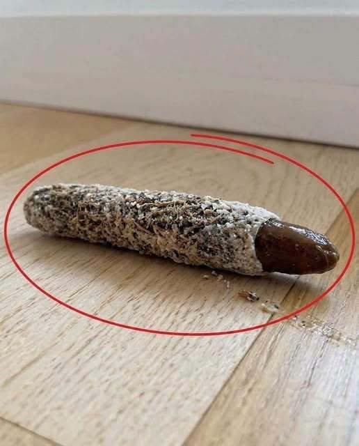 What Is This Strange Tube-Like Object on the Floor? The Surprising Answer 772956274_1350335323882417_5613101296528018840_n-1