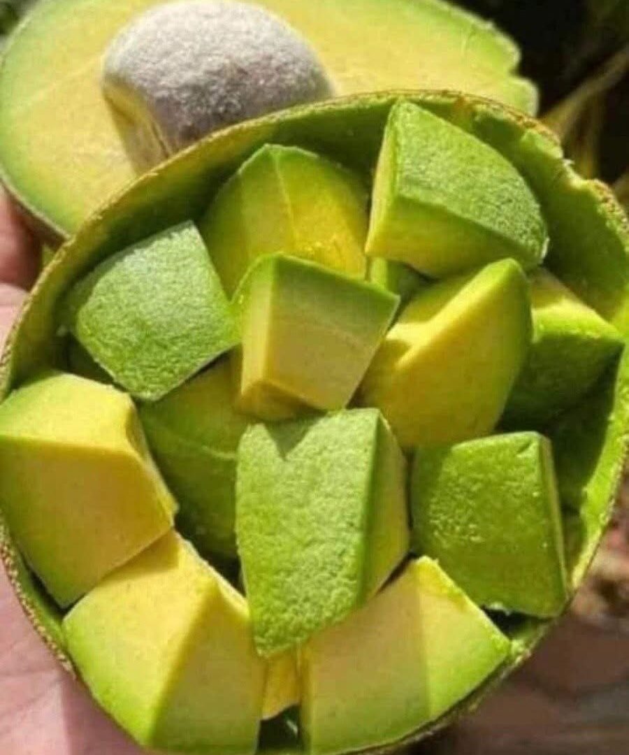 Doctors Reveal What May Happen to Your Body When You Eat Avocados Regularly 780443407_1528512972654606_594284036946904964_n