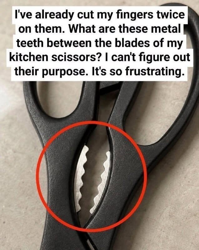 What Is That Weird Toothed Part on Kitchen Scissors For? (And 4 Brilliant Hacks You’ve Been Missing) 781153175_942026248935220_1945422711668057940_n
