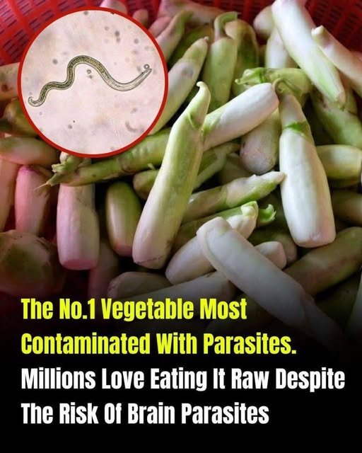 The Most Parasite-Contaminated Vegetable? Experts Warn About Hidden Risks 783029299_1044271611858473_7907100229851810318_n (1)