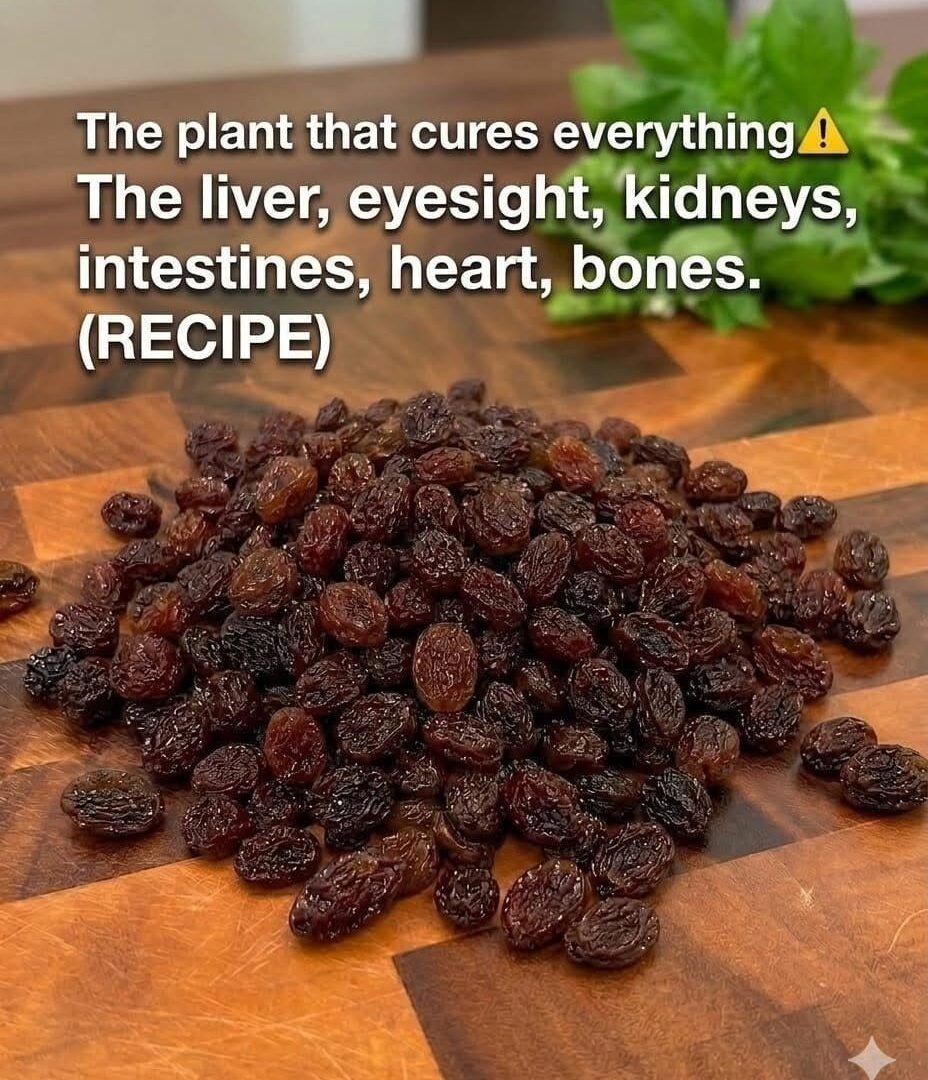 Moringa Oleifera: Why This “Miracle Tree” Is Getting So Much Attention 🌿 783671997_2174823659912254_2970413468702201684_n