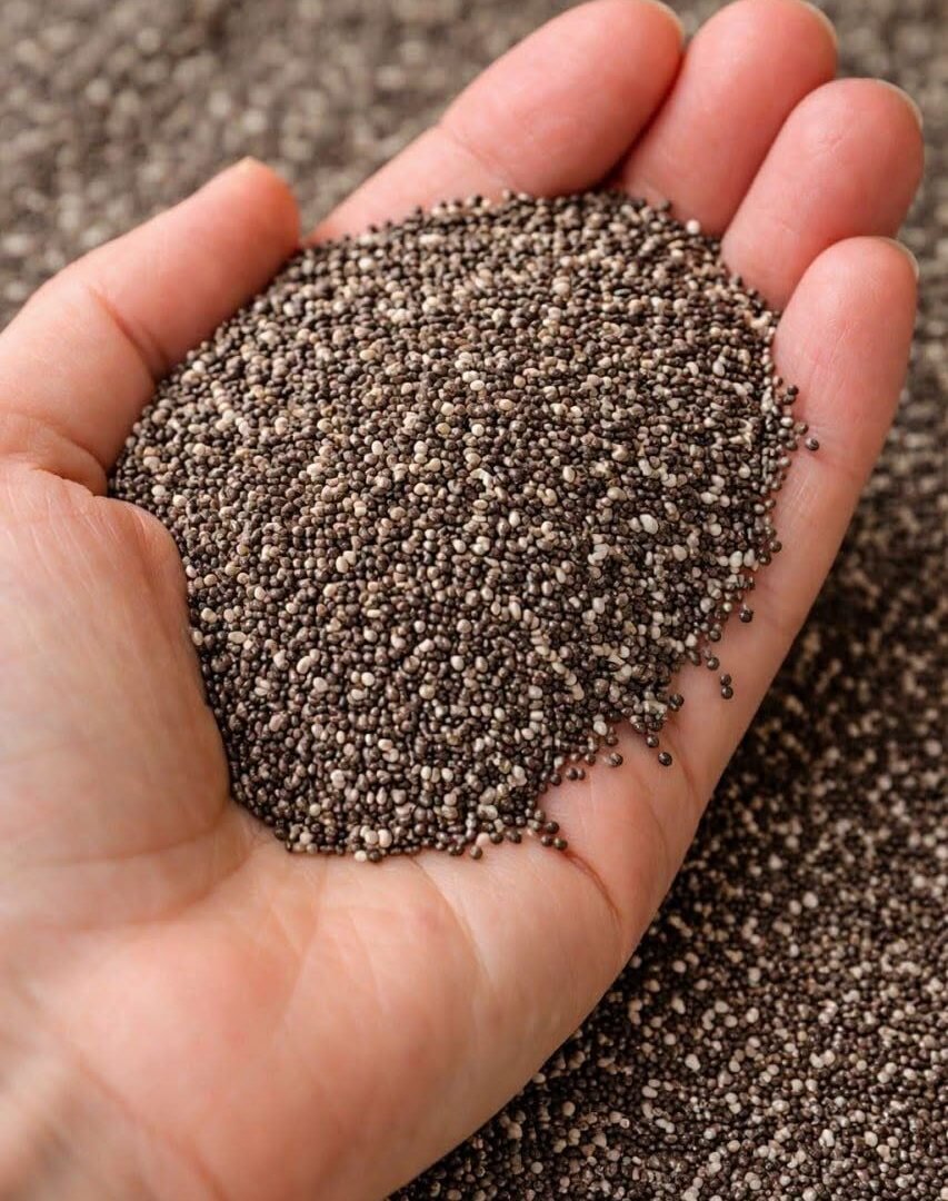 Doctors Reveal What Eating Chia Seeds Can Cause — Benefits, Risks & What to Know 784226613_1745297476669479_7578213936276733063_n