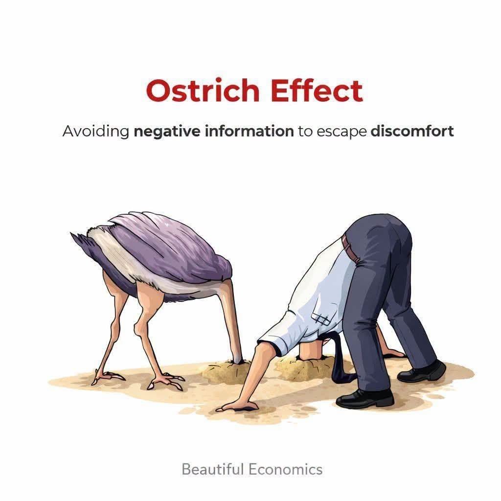 The Ostrich Effect: Why We Avoid Information We Don't Want to Hear 784321215_2996196277397227_3113821175347899816_n