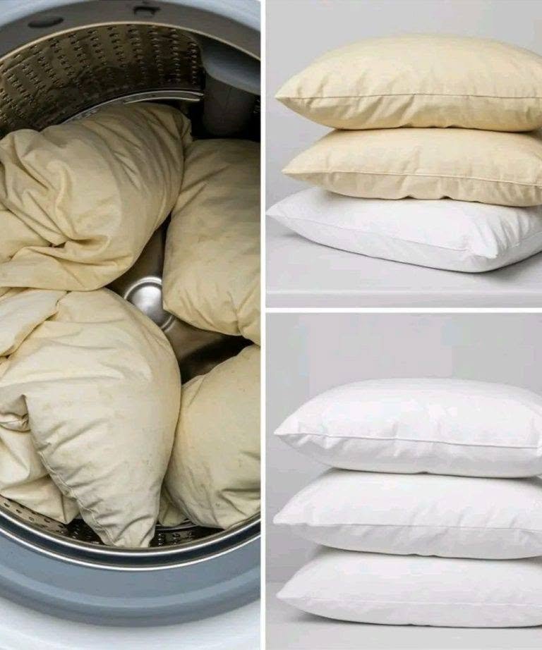 How to Wash Yellowed Pillows: 3 Simple Tips to Help Keep Them White and Fresh 786955292_122124313083388160_4371092608895314672_n
