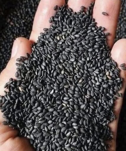 787958651_1100038069153366_4990883844073552562_n