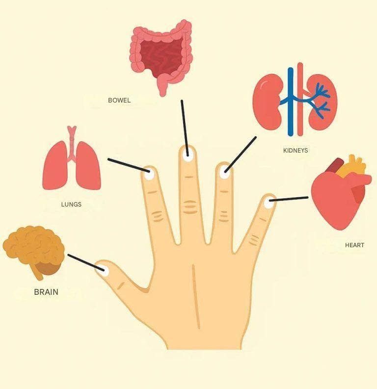 Each Finger Is Connected to Two Organs: An Incredible Japanese Therapeutic Method 808786680_1117522177894569_6765395386690760511_n